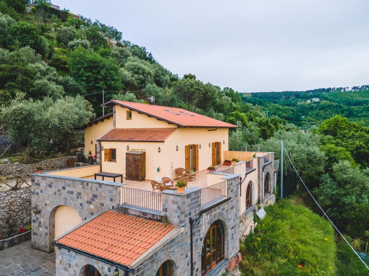 Casale Ianus - Country House With Panoramic View Villa Sorrento Exteriör bild